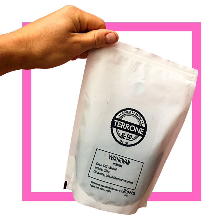 Terrone &amp; co Coffee Roasters | Ywangan | Myanmar