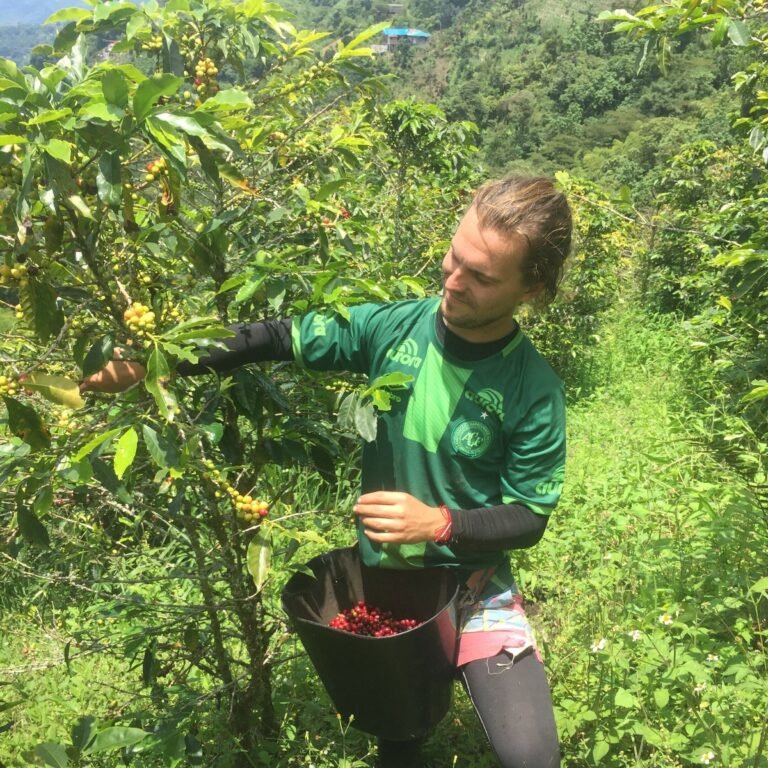Working on a Colombian coffee farm
