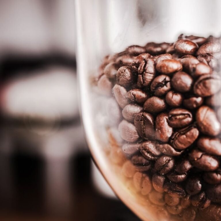 Should I Wash My Coffee Beans? 2 Should I Wash My Coffee Beans?