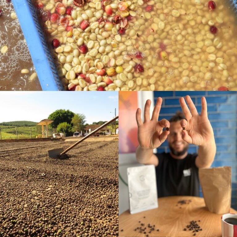 Washed Coffee vs Natural Coffee 13 Washed Coffee vs Natural Coffee