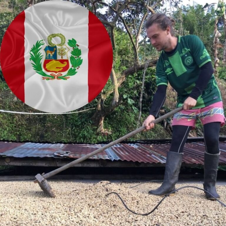 A Guide To Peru Coffee Beans 5 A Guide To Peru Coffee Beans