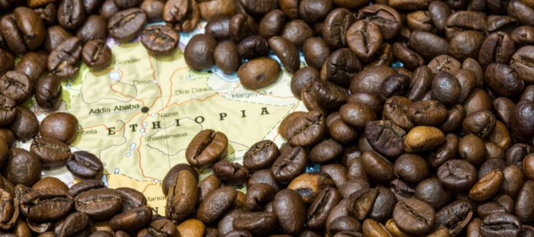 Ethiopian Coffee: A Journey Through Coffee's Birthplace 12 Ethiopian Coffee: A Journey Through Coffee’s Birthplace