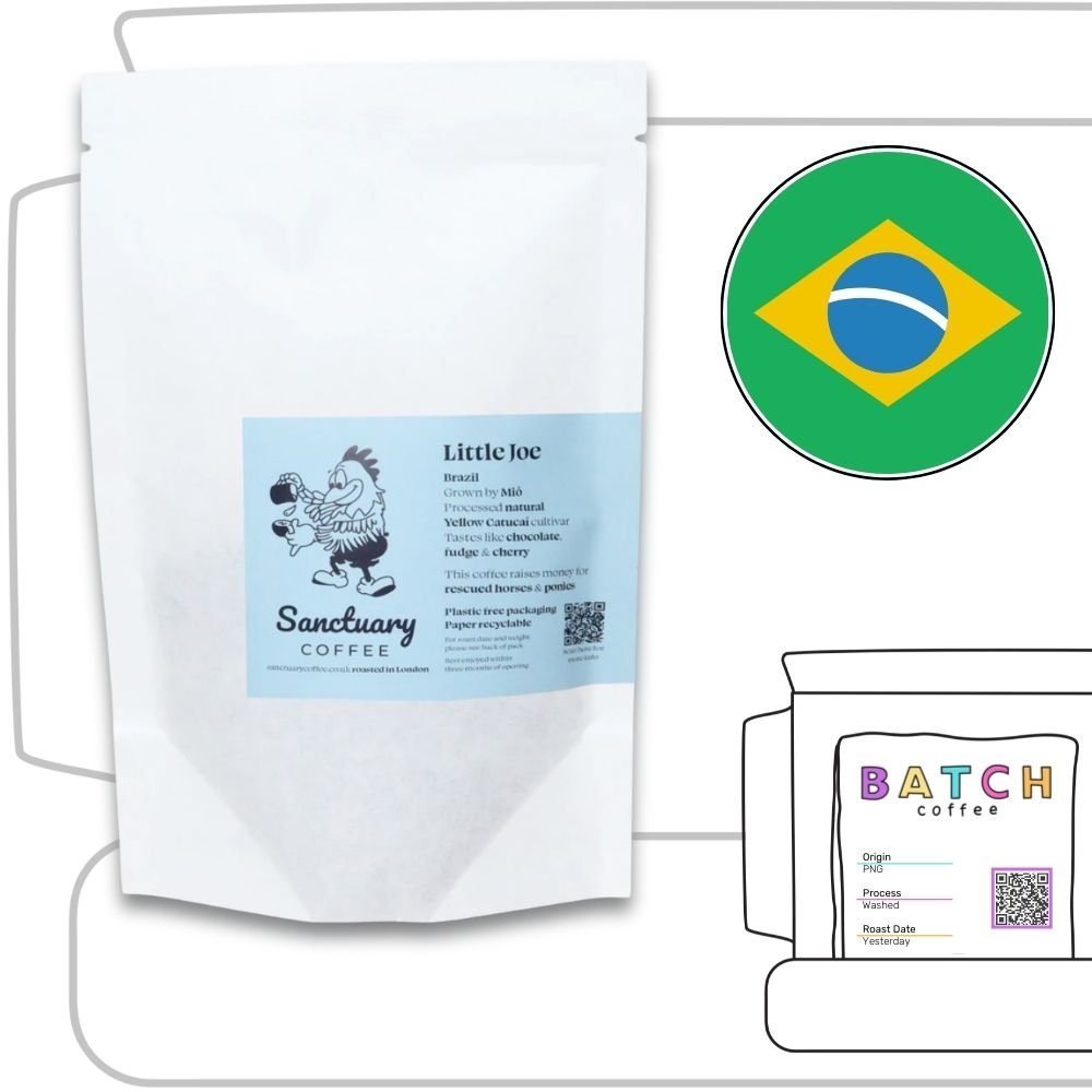 Sanctuary Coffee Review