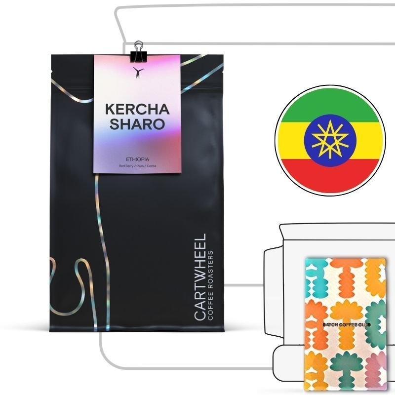 Cartwheel Coffee Review