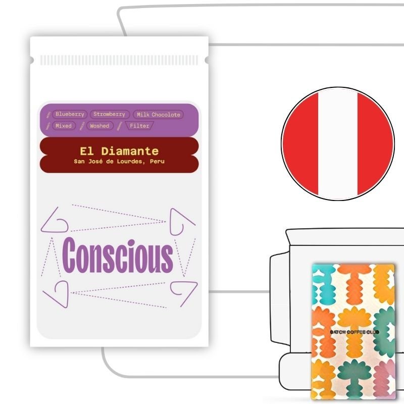 Conscious With Coffee Review
