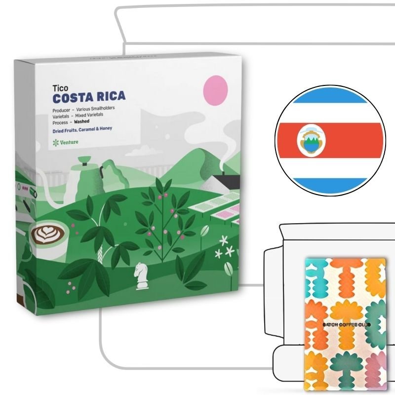 Quarter Horse Review