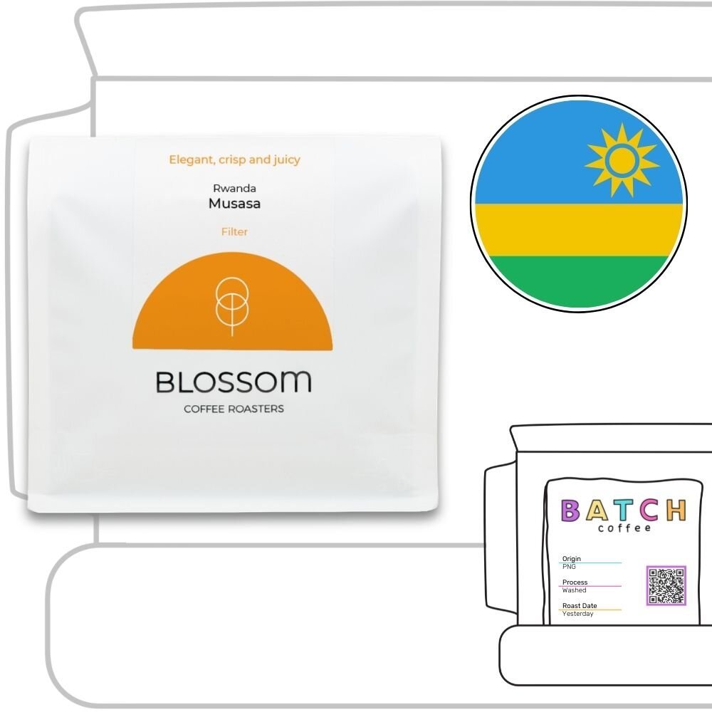 Blossom Coffee Roasters