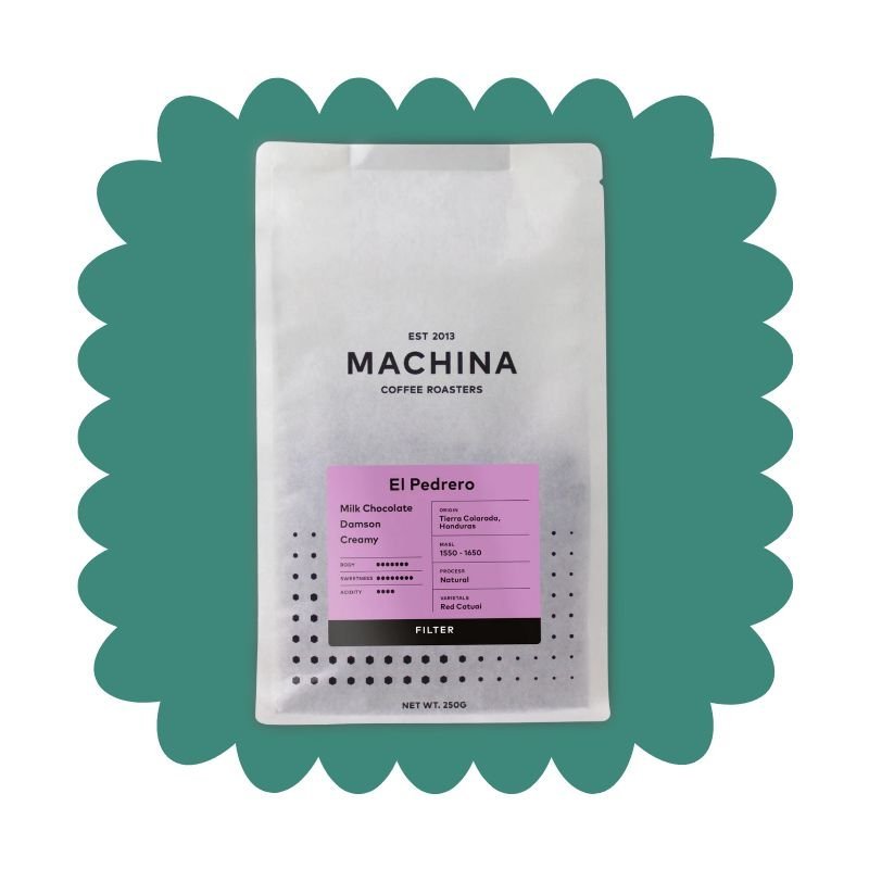 Machina Coffee Roasters Review