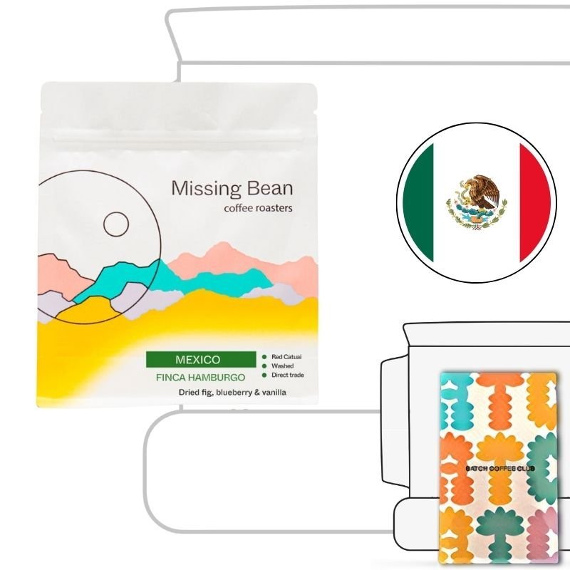Missing Bean Review