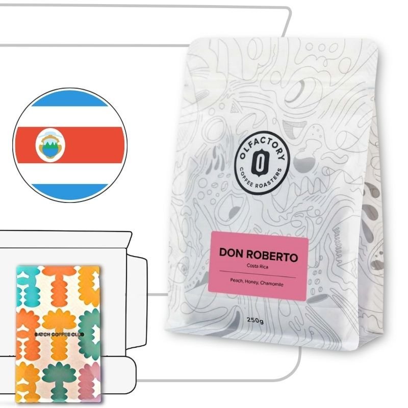 Olfactory Coffee Review