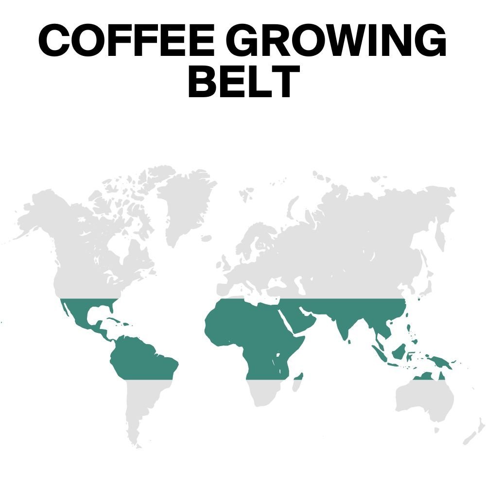 14 13 What Are Single Origin Coffee Beans?