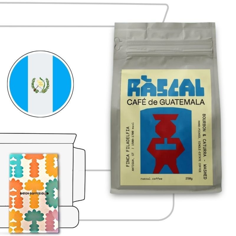Rascal Coffee Review
