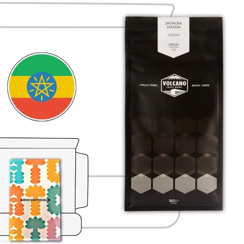 Volcano Coffee Review