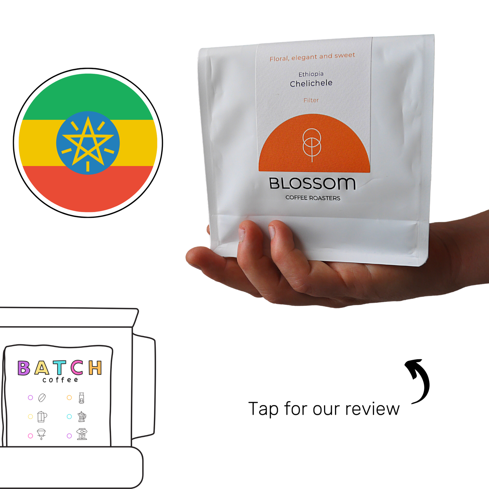 Blossom Coffee Roasters (Copy)