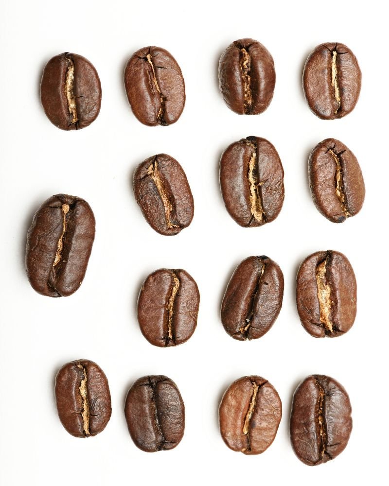 Brazilian Coffee Beans Guide 7 Different types of coffee beans