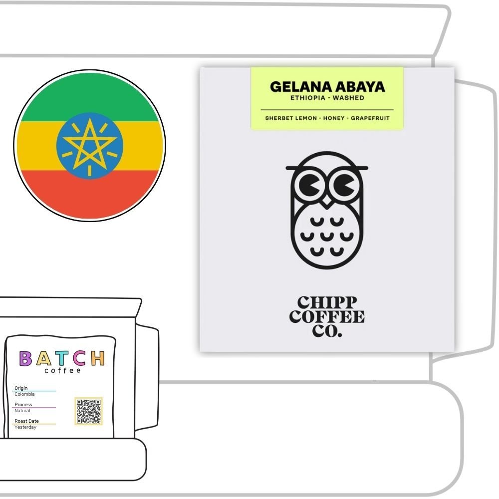 Chipp Coffee Roasters