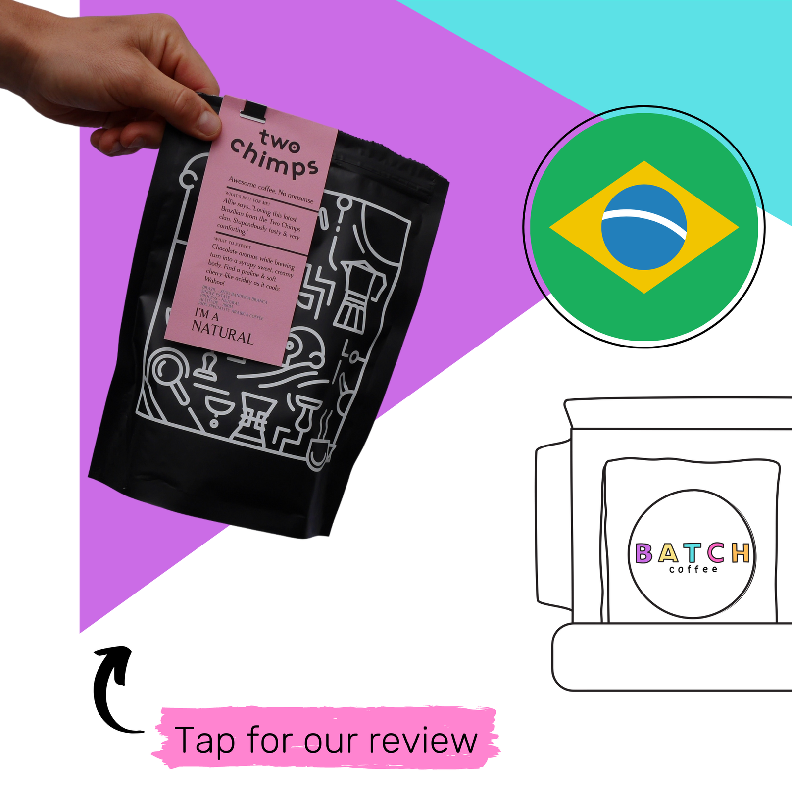 two chimps - Brazil (Copy)