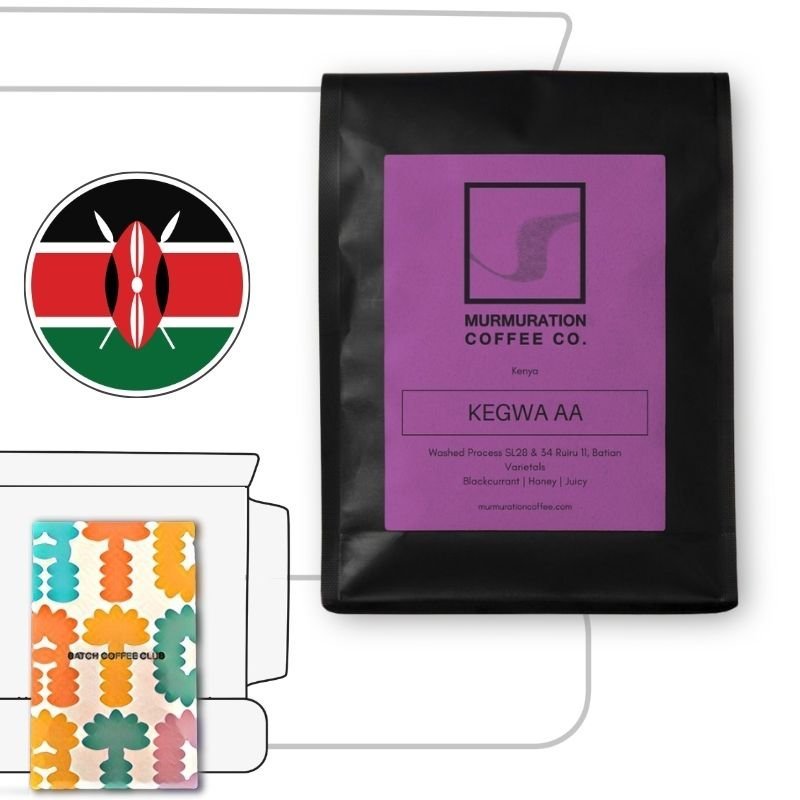 Murmuration Coffee Review