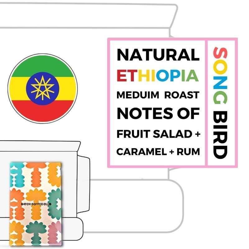 Kin Coffee Roasters Review