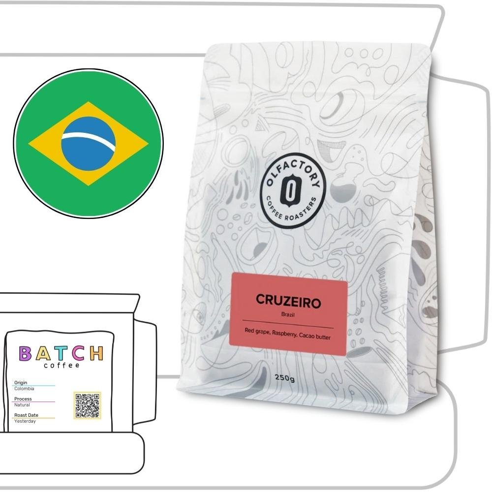 Olfactory Coffee Review