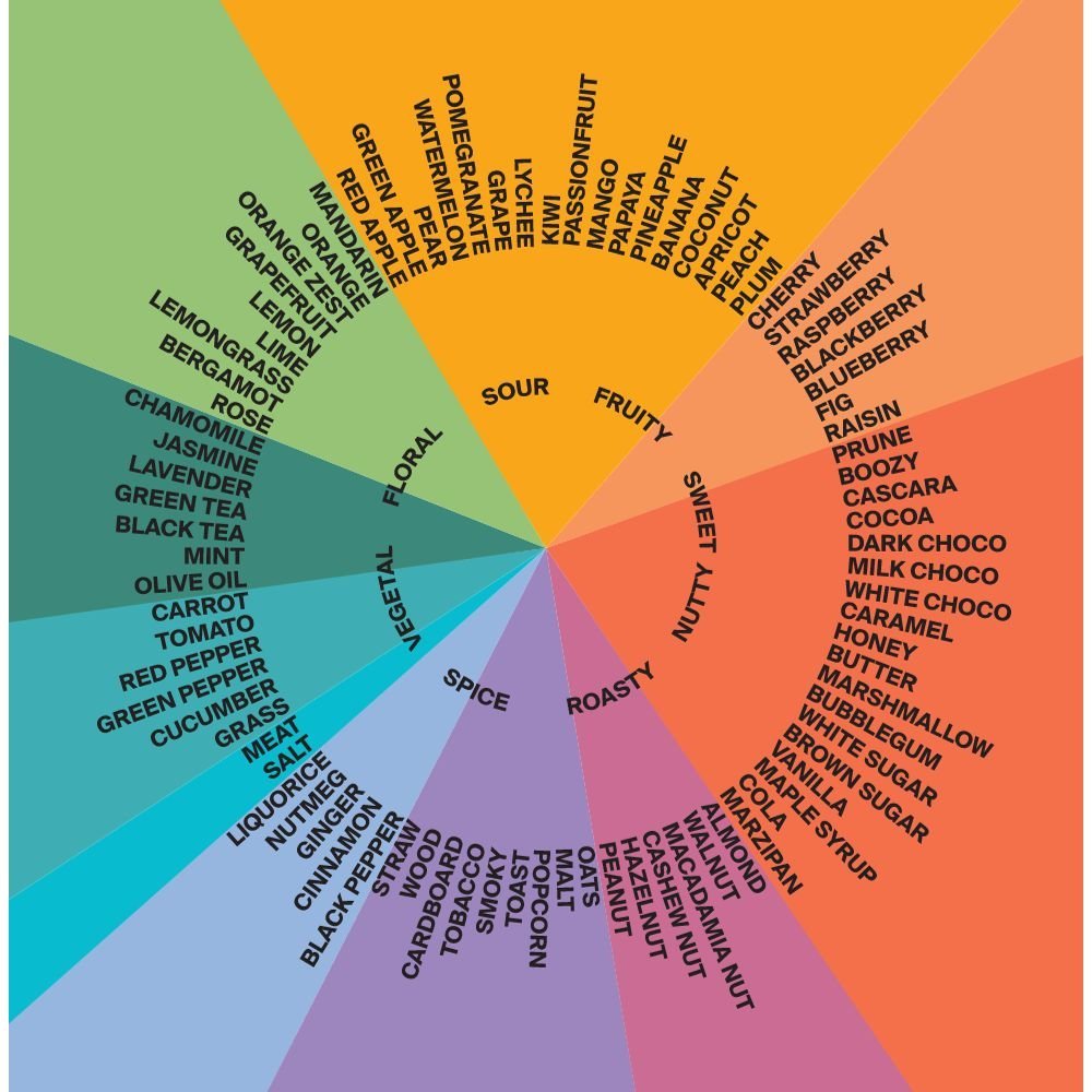 4 15 Why Do Coffee Beans Have Different Flavours?