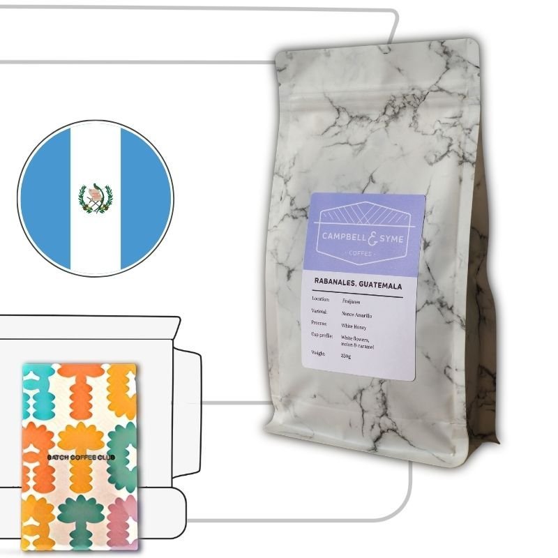 Campbell and Syme Review