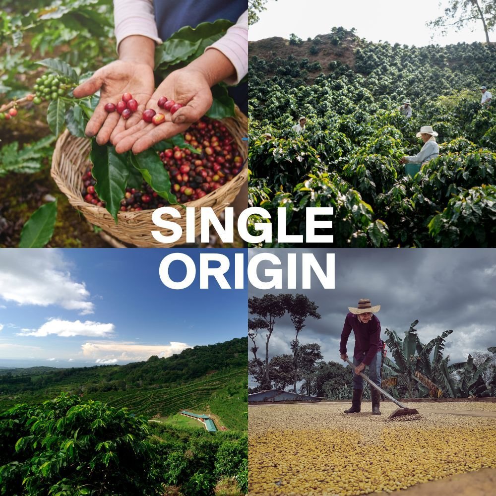 5 12 What Are Single Origin Coffee Beans?