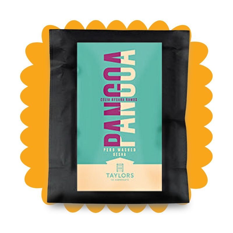 South America 21 Taylors Discovery Coffee Roasters Review