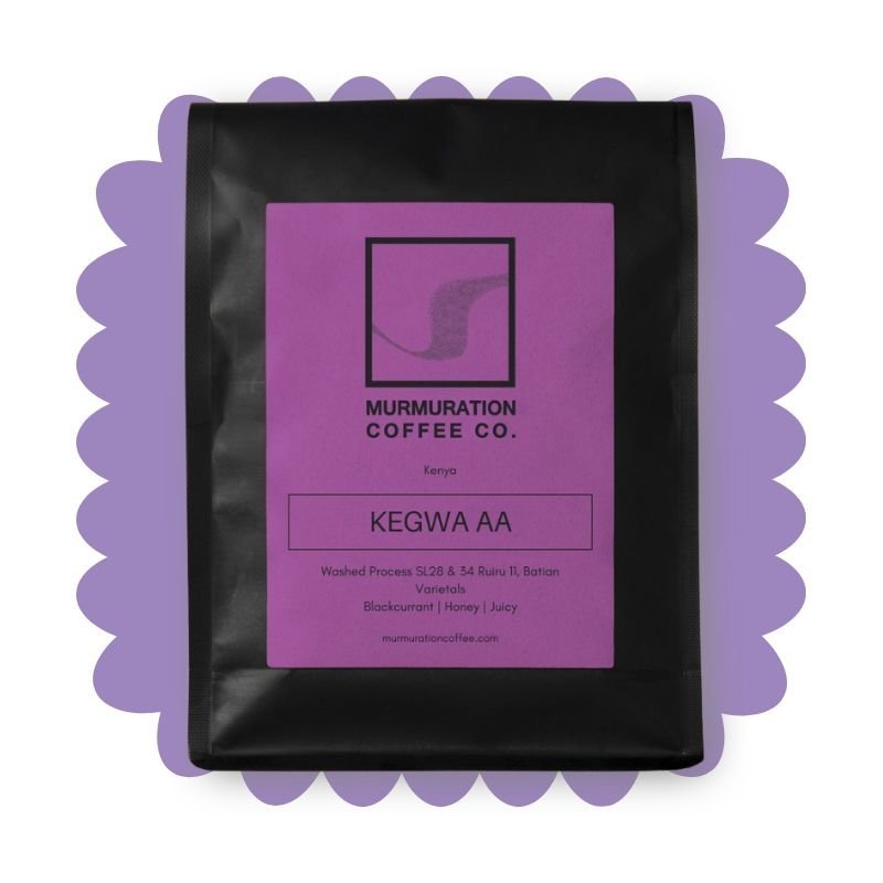 Murmuration Coffee Roasters Review