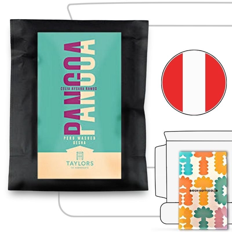 Taylors Coffee Review