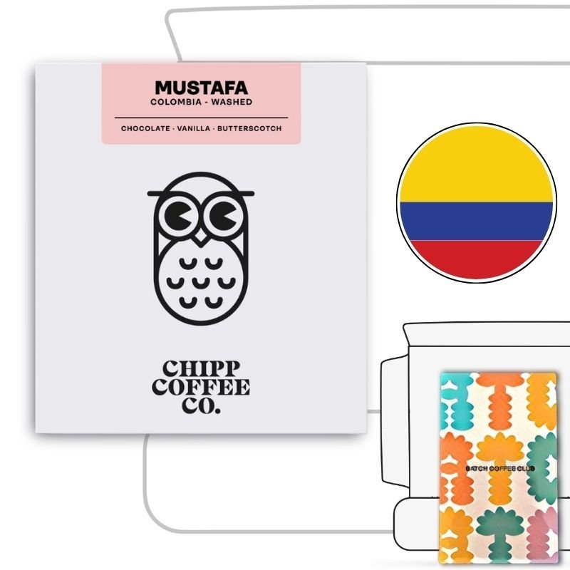 Chipp Coffee Roasters Review