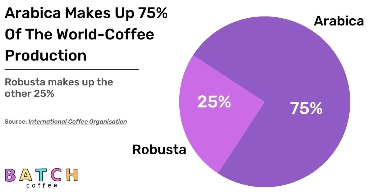 Brazilian Coffee Beans Guide 6 Arabica Brazil coffee