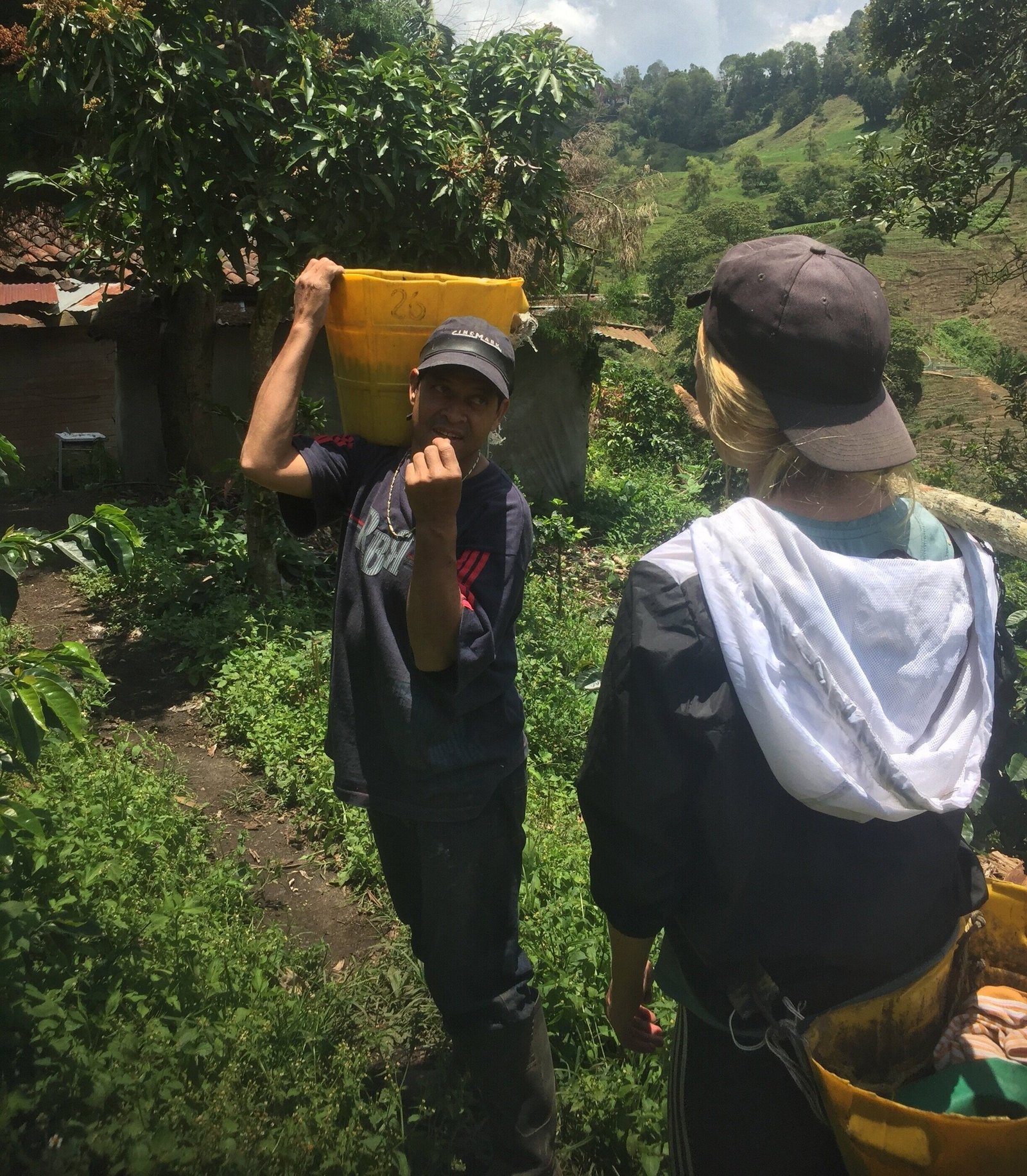 BatchCoffeeReviewUK7CWorkingonaColombiancoffeefarm7COrganiccoffeeandhowitisprocessed7CSouthAmericancoffeefarming Working on a Colombian coffee farm