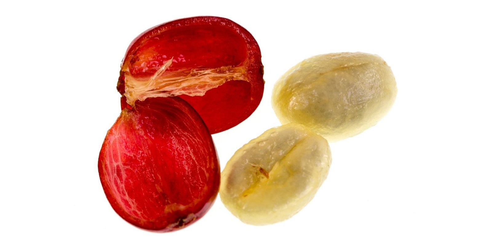 COFFEECHERRY How Much Caffeine is in a Coffee Bean?