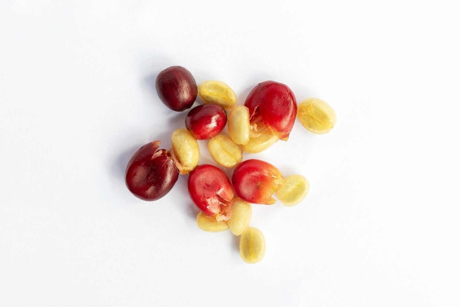Cascara CoffeeCherry What Is Cascara Tea?