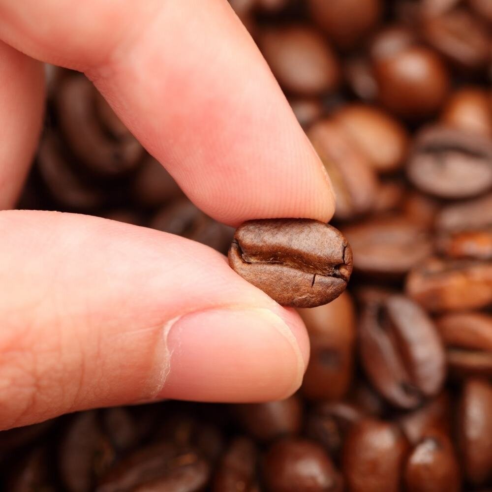 CoffeeBeanFreshness Coffee Storage Containers - How To Store Speciality Coffee