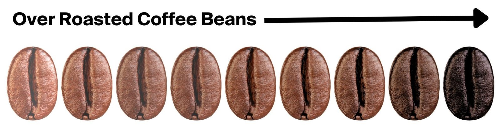 CoffeeBeanappearanceguide How to tell if coffee beans are over roasted