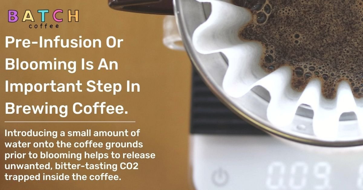 Coffee Brewing Stats