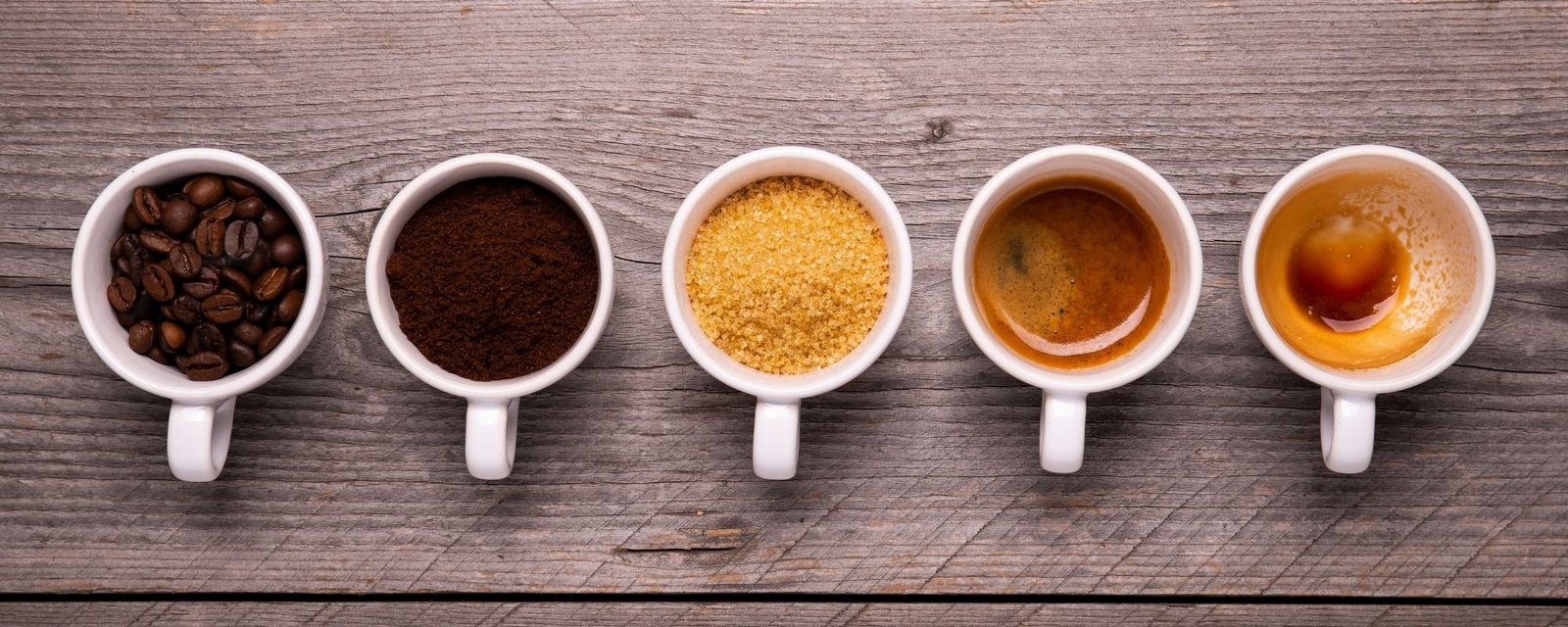 Coffee Facts and Stats