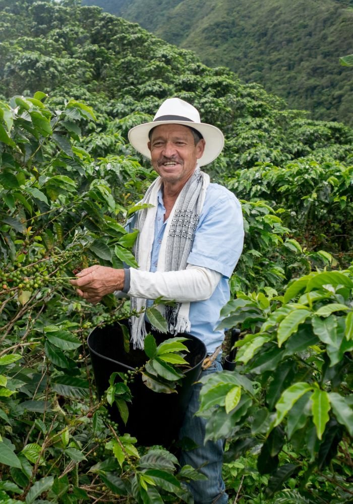 CoffeeFarmer Everything You Need to Know About Coffee Grinders