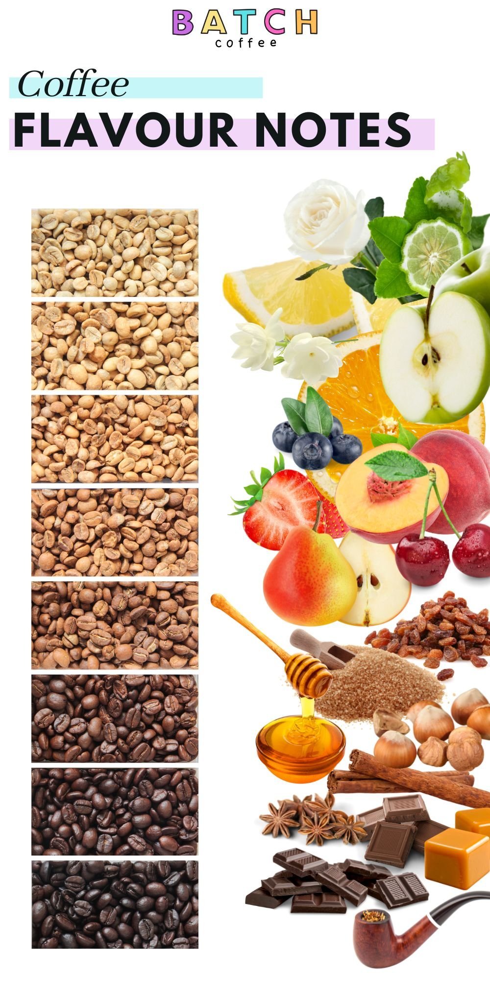 CoffeeFlavournotes The Best Coffee For Beginners 2024