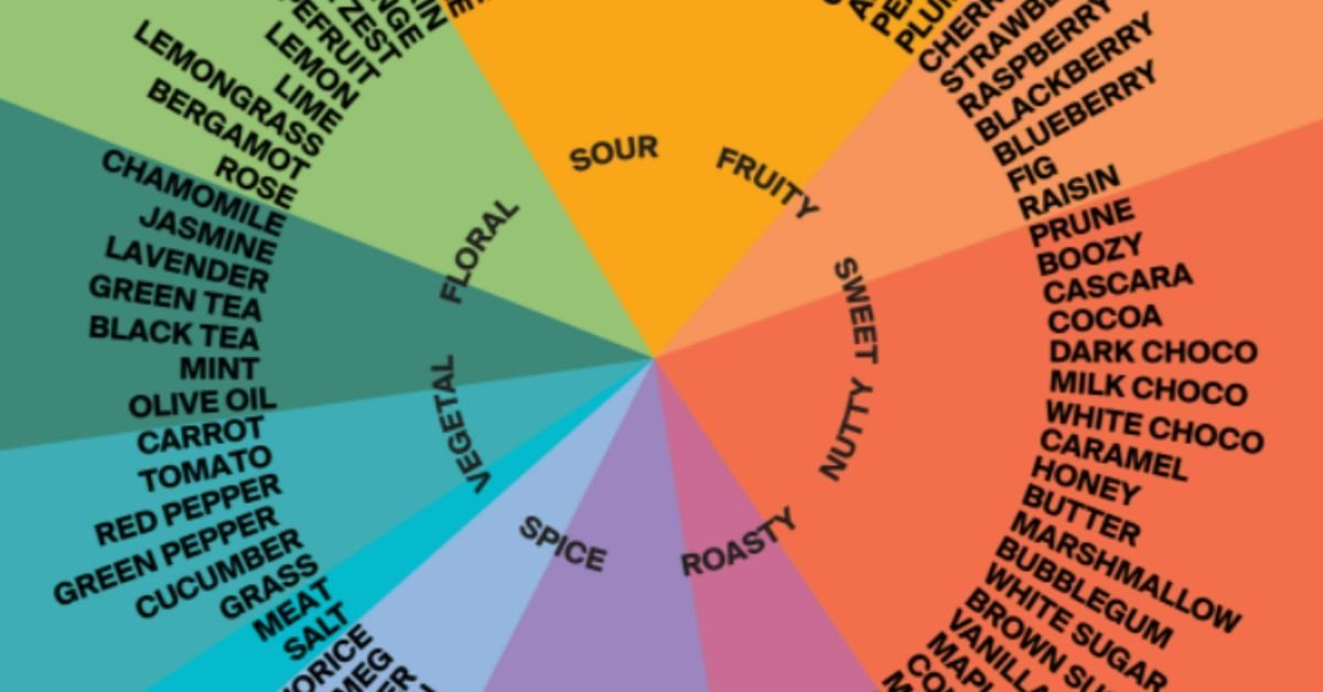 Brazilian Coffee Beans Guide 16 Coffee Flavours