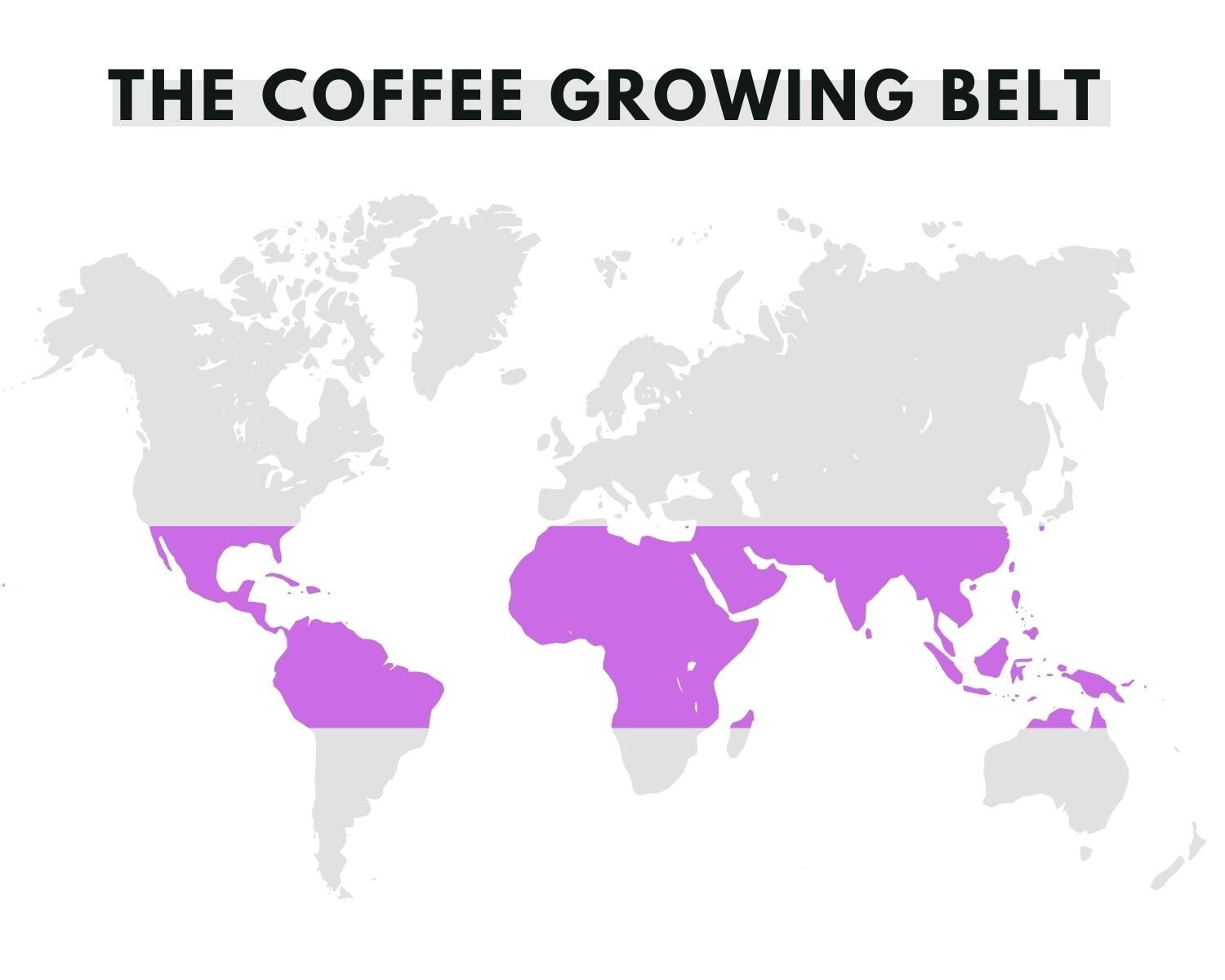 CoffeeGrowingBelt Where Do Coffee Beans Come From?