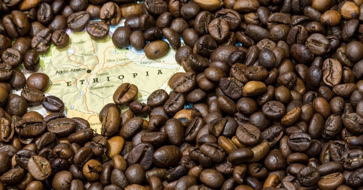 Coffee History Stats