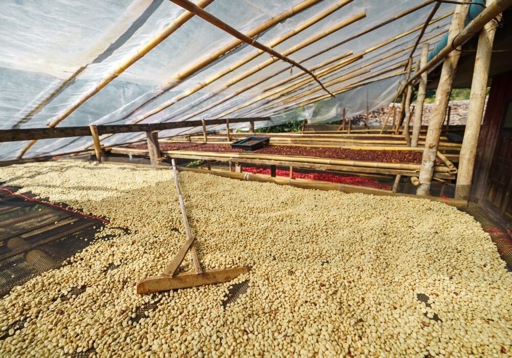 CoffeeProcessingMethods Batch Coffee Flavour Wheel