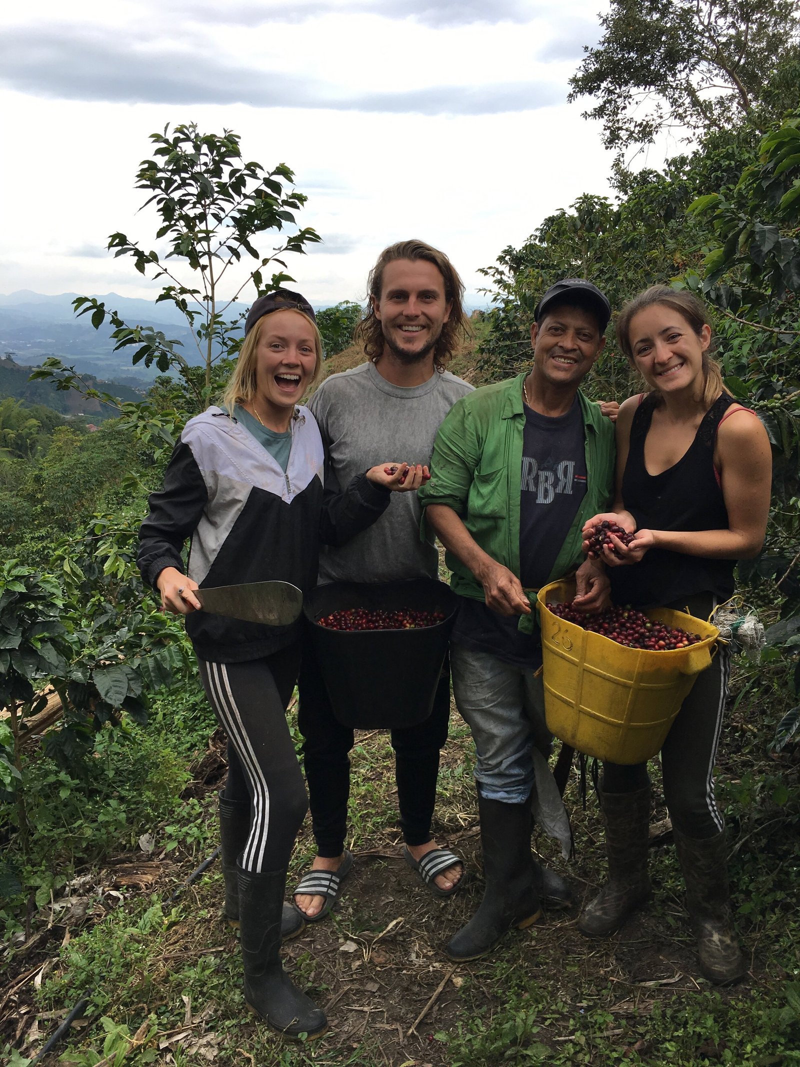 Coffeefarmingfamily7CBatchCoffeeReviewUK7CWorkingonaColombiancoffeefarm7COrganiccoffeeandhowitisprocessed7CSouthAmericancoffeefarming Working on a Colombian coffee farm