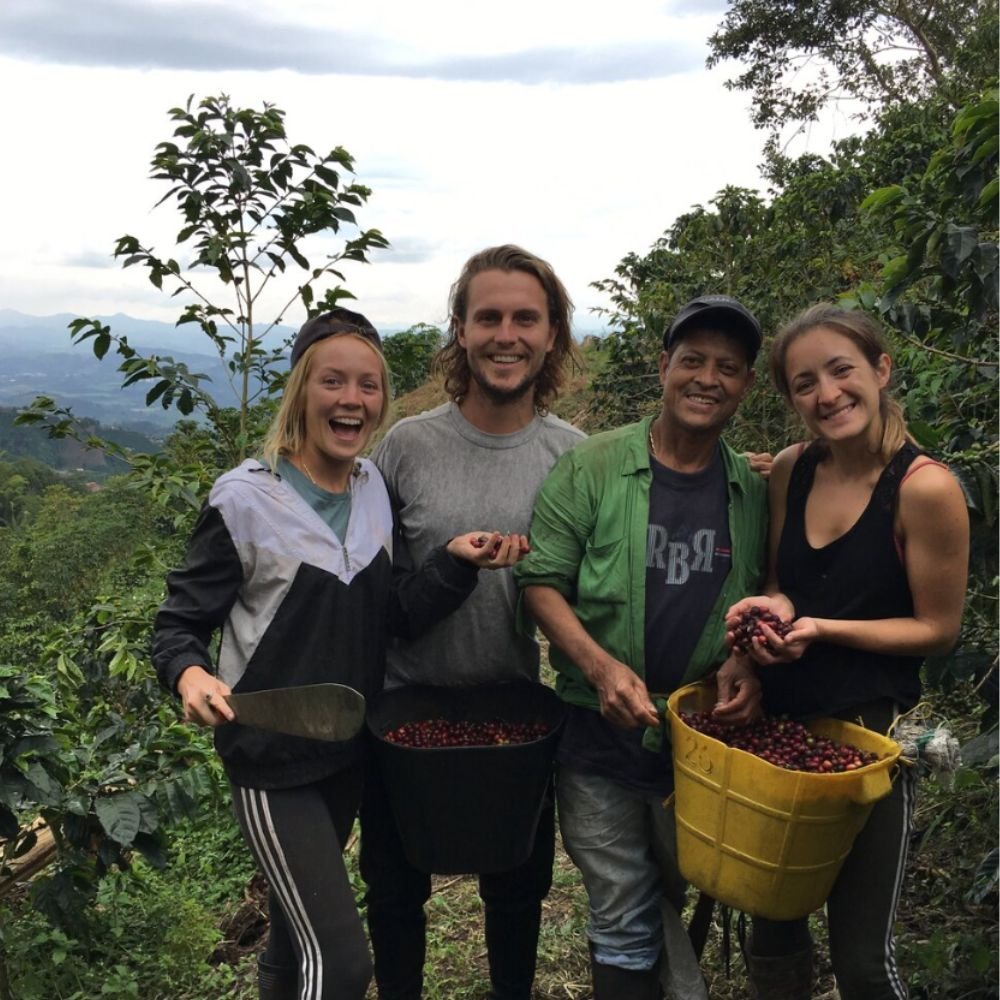 ColombianCoffeeFarm Can You Grow Coffee At Home?