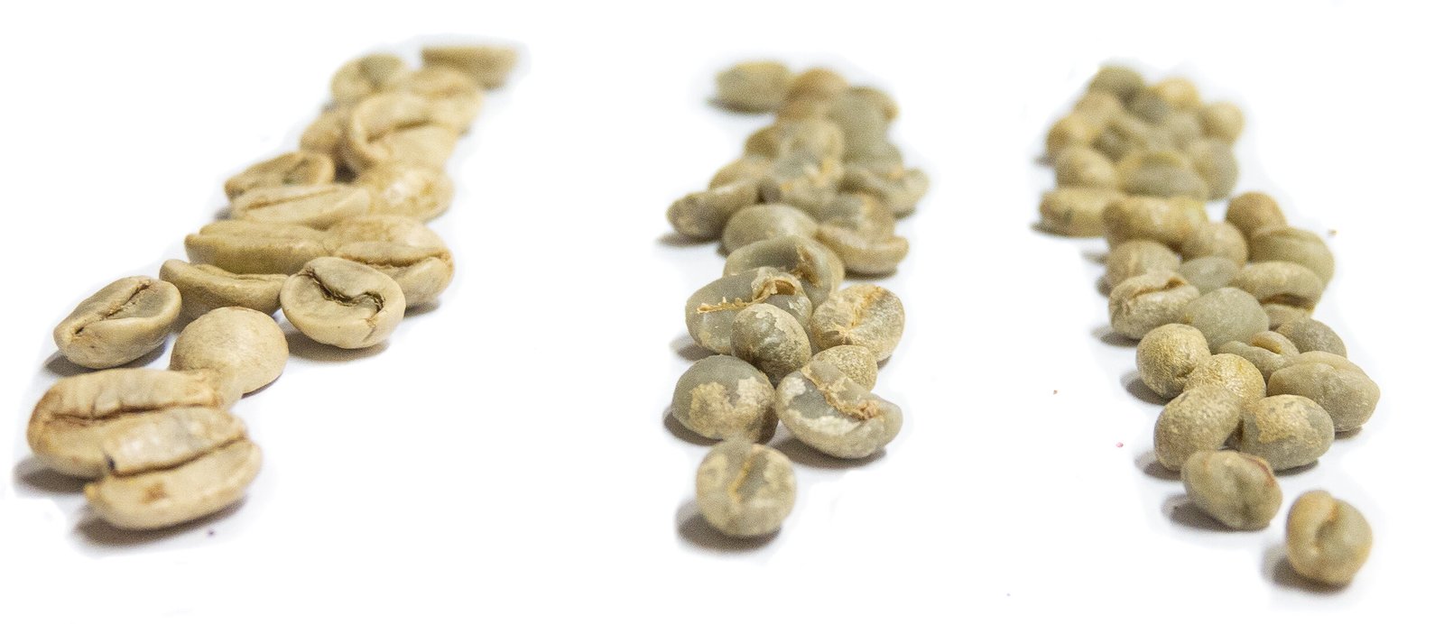 Different types of coffee beans | Green Coffee