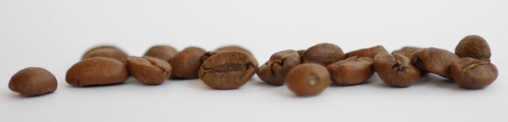 What Are The Different Types of Coffee Plant?