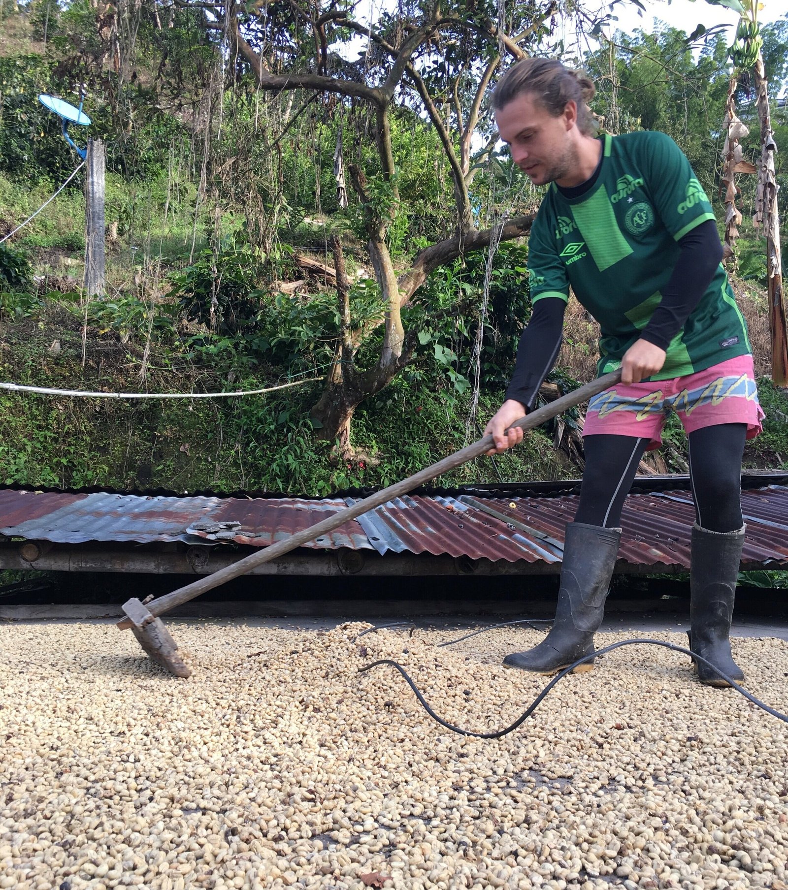 Dryingthecoffee7CRakingcoffee7CBatchCoffeeReviewUK7CWorkingonaColombiancoffeefarm7COrganiccoffeeandhowitisprocessed7CSouthAmericancoffeefarming Working on a Colombian coffee farm